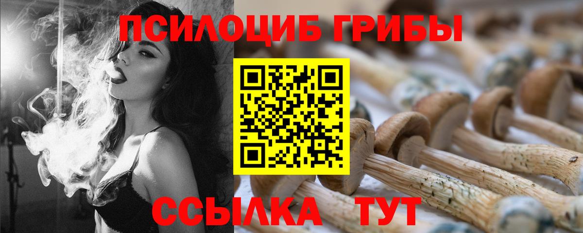 Галлюциногенные грибы GOLDEN TEACHER  Вход с VPN  Псилоцибиновые грибы MAGIC MUSHROOMS  Борзя 